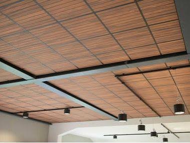 False / Suspended Ceiling